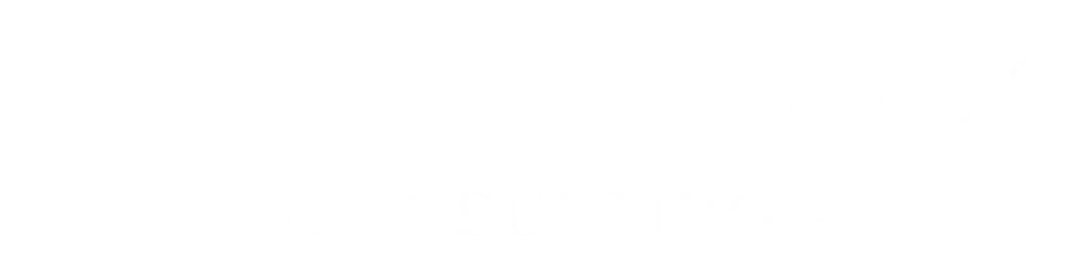 Lunivex Management Consultants