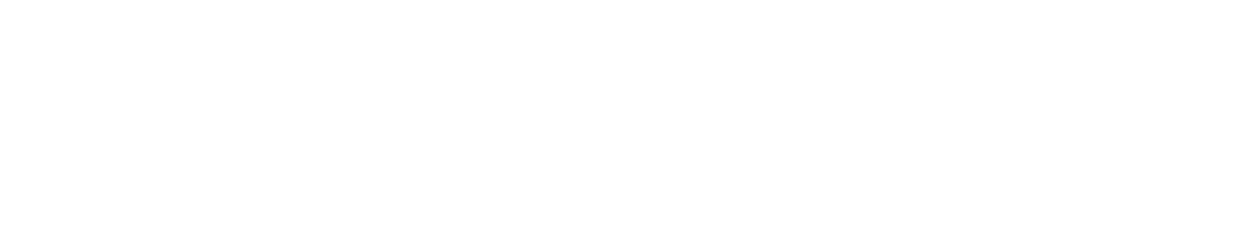 Lunivex Management Consultants
